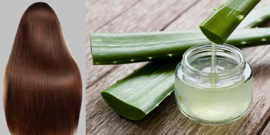 Aloe Vera_ The Scalp Healer